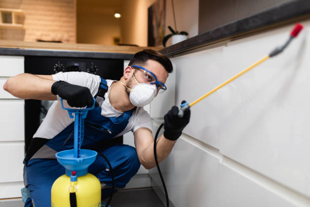 Best Affordable Pest Control Services  in Menonee, MI