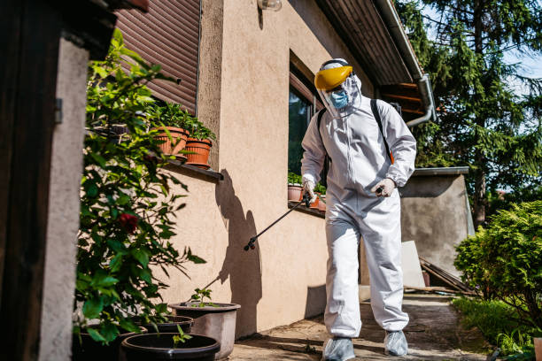 Best Rodent Control Near Me  in Menonee, MI