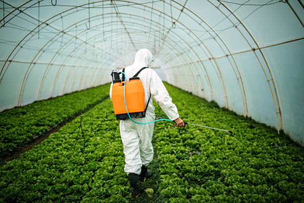 Pest Prevention Services in Menominee, MI
