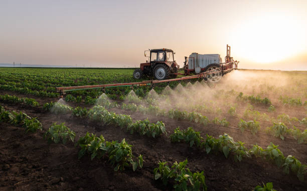 Best Commercial Pest Control Services  in Menonee, MI