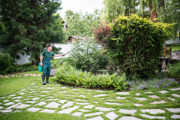 Best Local Pest Control Services  in Menonee, MI