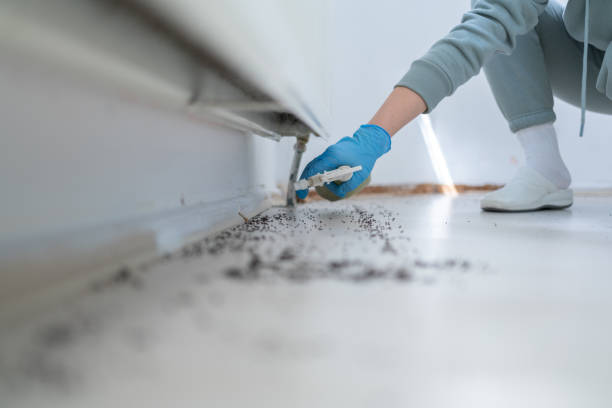 Best Exterminator Services  in Menonee, MI